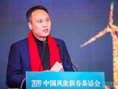 秦海岩：2018年中国风电的六个“稳”