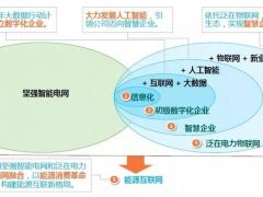 湖南电力总经理李生权：以数字化转型推进“三型两网”战略全面落地